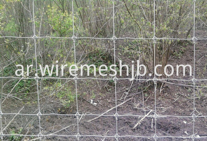 Galvanized Field Wire Fence